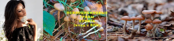 mdpv Магас