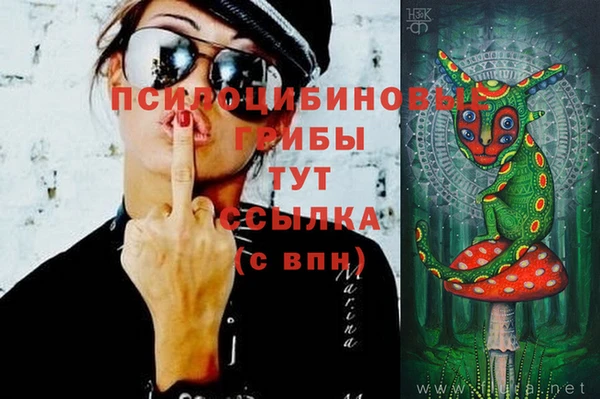 mdpv Магас