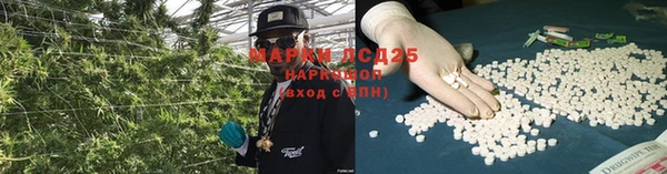 mdpv Магас
