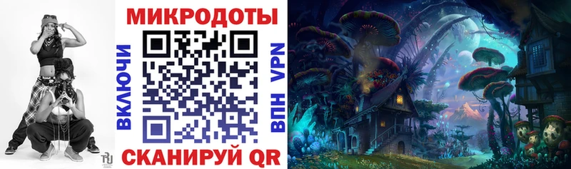 Галлюциногенные грибы Psilocybe  Купить  Николаевск-на-Амуре 